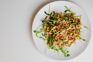 Microgreen, lentil sprouts, mung beans sprouts, raisins, sunflower seeds, flax seeds and arugula salad with mint and orange, lemon dressing. Summer dish. Healthy food. White plate. White background.