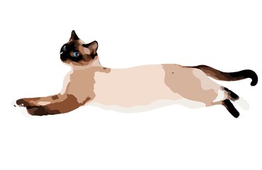 Stylised Snowshoe cat