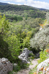 Vue sur la Mer des Rochers à Sauve, au pied des montagnes de Cévennes (Occitanie, France)