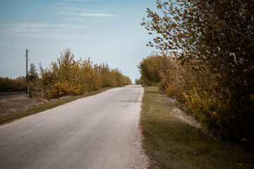 Agricultural fields, lots of empty work space, harvesting 