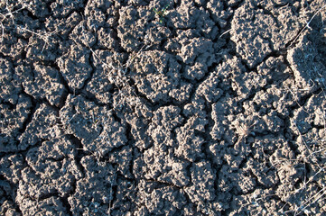 cracks in dry land, drought, top view
