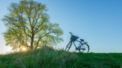 bike ride in the evening to nature. beautiful landscape with poplar sun and bike in the evening....