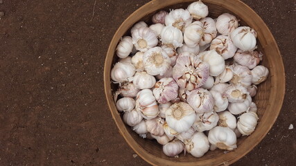 garlic in a basket