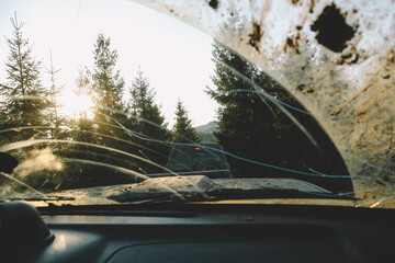Offroad car trip through the Ukrainian Carpathians in spring. View from the window. Dist, swamp, forest