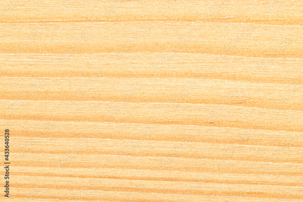 Poster the texture of the tree with horizontal stripes. cut of pine close-up