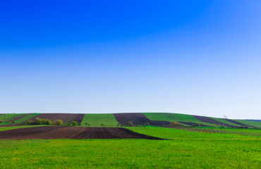 Fototapeta na wymiar field and blue sky. farm or countryside landscape