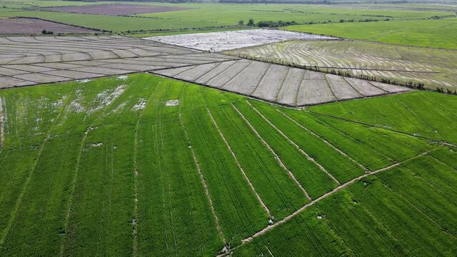 Peace In The Storm Images – Browse 22,347 Stock Photos, Vectors, and