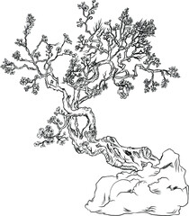 Fototapeta premium Sakura flower tattoo.Hand drawn isolate cherry blossom flower of Japan.Outline and silhouette peach blossom.
