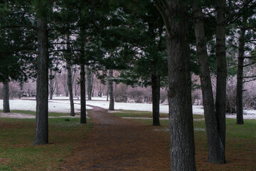 Image of a footpath in a winter park.