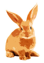 rabbit drawing, textile printing, textile graphics, t-shirt printing