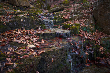 Small waterfall in the autumn forest.