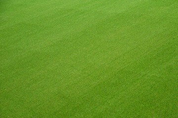 Beautiful green lawn, perfect for use as wallpaper or designs and advertisements. Green grass field...