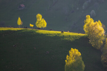 Rural mountain landscape with remote Romanian village uphill in the valleys of Carpathian...