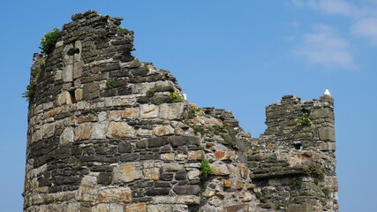 Blue sky above an old broken stone castle wall © Chlo&Sam Photography