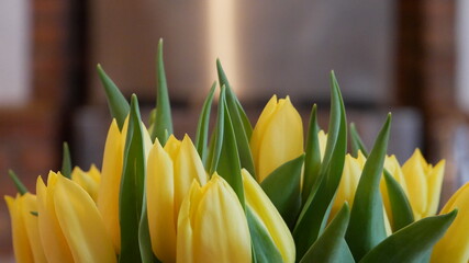 A bouquet of yellow tulips close up