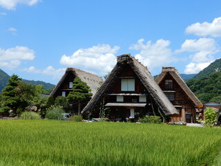Fototapeta na wymiar japanese historical village in the mountains in shirakawa go