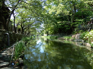 近江八幡　waterway with green tree reflection