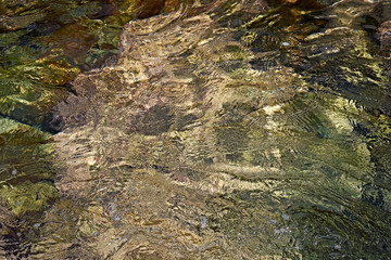 Tidal bore. Stone bottom. Clear water.