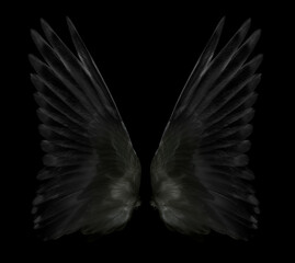 Plakat wing of birds on black background.
