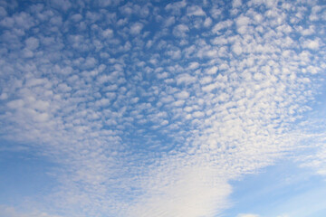 Porous white clouds against a blue sky