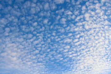 Fototapeta na wymiar Porous white clouds against a blue sky