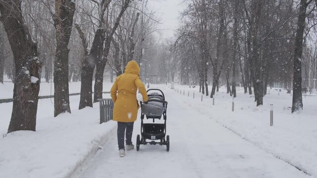  Mom rolling baby in a stroller under a snowfall with large snowflakes. A woman walks with a child. Snow fall blizzard in city park. Winter city concept