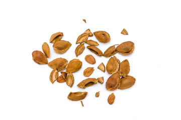 Apricot pits isolated on white background