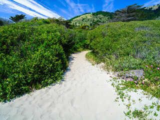 Stinson Beach, Sandy Pathway into the Hills