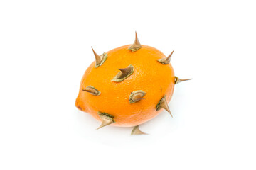 Ripe lemon with rose thorns isolated on white background