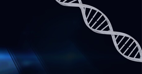 Composition of white 3d dna strand with copy space on black background