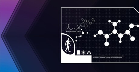 Composition of digital medical icons and data processing on screen