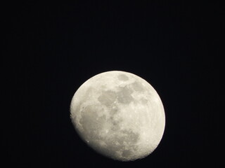 Moon 