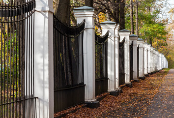 fence in autumn park with road