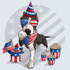 Cute black Pitbull dog with American independence day elements 4th of July and memorial day
