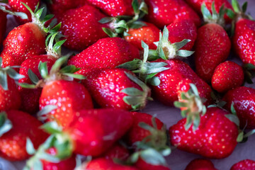 Fraises rouges de saison