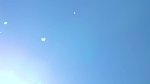 Poplar fluff flies in the air against the blue sky. Seasonal allergen. Selective focus.