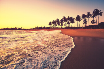 Tropical beach at yellow and purple sunset.