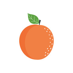 vector illustration of cartoon apricot isolated on white