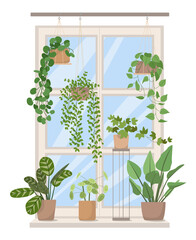 a window decorated with houseplants