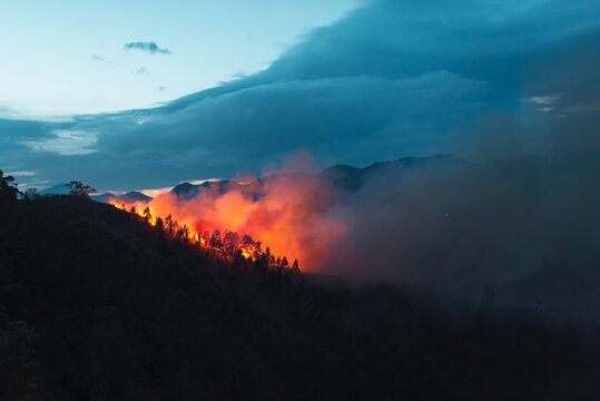 Countryside forest with cloudy sky covered by fire smoke during the evening