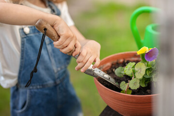 Child planting flower in the pot. Child gardening outdoors. 