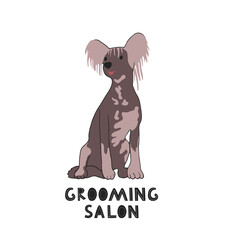 Pet grooming concept. Cute doggy Illustration for dog care, grooming, hygiene, health, Pet shop. Flat style vector banner