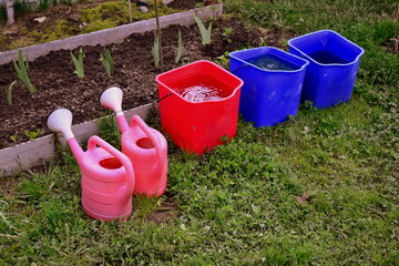 garden watering cans and buckets of water in the garden