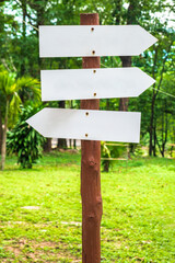Direction Signpost in the Forest