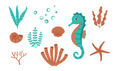 Set of flora and fauna of the marine underwater world. Seahorse, seaweed, seashells, starfish. Color vector illustration of flat style. White isolated background.