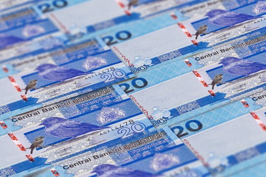 20 GMB. Gambian dalasi banknotes background.