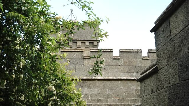Weather vane and blooming rose bush in the old diabase castle