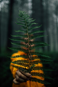 Adult female traveler with lush green plant leaf looking at camera during trip in woods