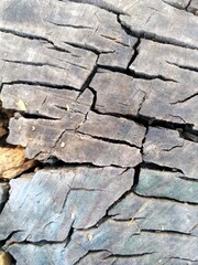 old wood texture