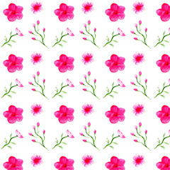 Obraz na płótnie Canvas Watercolor seamless pattern with pink blooming flowers on white background